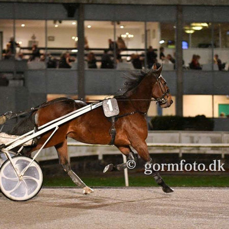 Løbsdage på væddeløbsbanen