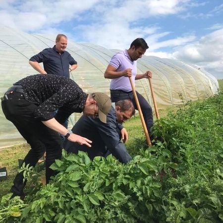 Rundvisning og undervisning i marken