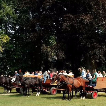 Guidet tur med naturvejleder