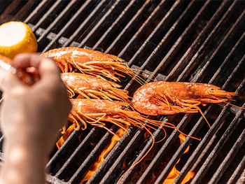 Connoisseur of Barbecue