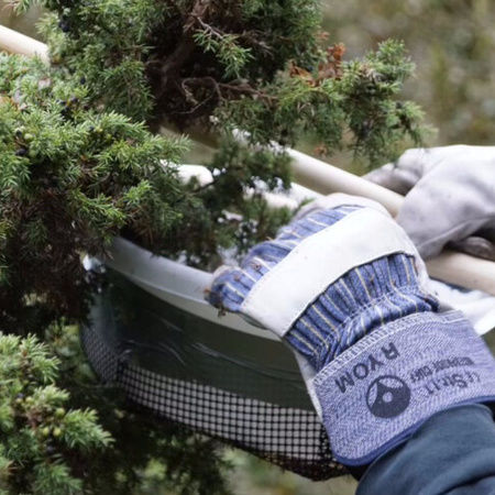 Sanke og gindestillering