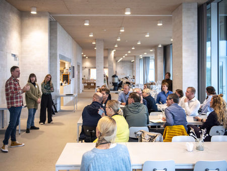 Stevns Klint Experience