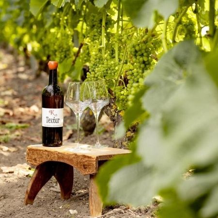 Vinprovning med vin från Klagshamns Vingård