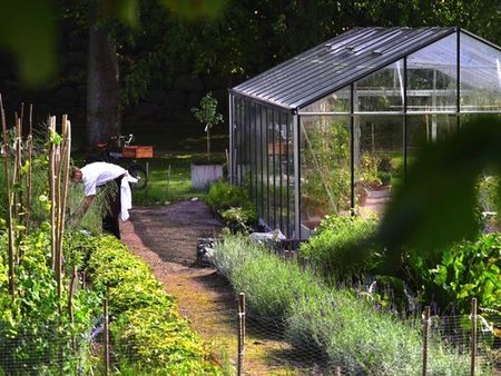 Utflykt till PM & Vänners växthus