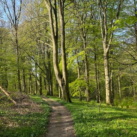 Två timmars vandring