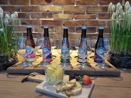 Vin-& Ölprovning