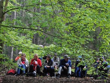 Guidad vandring i skogen