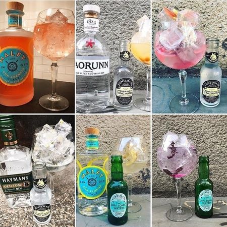 Gin & Tonic-provning