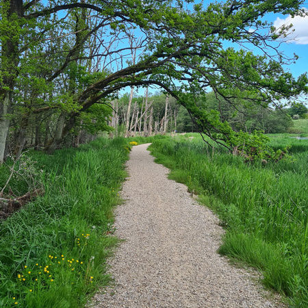 'Kro'minoen – Teambuilding langs Gudenåen