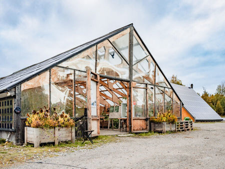 Lär dig om klimatsmart odling