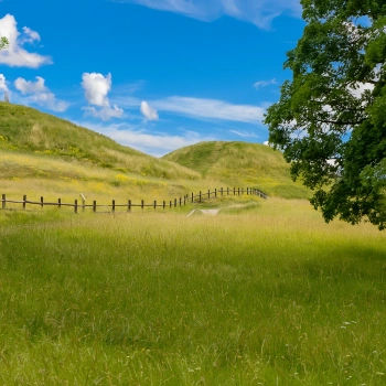 Geographic link - Uppland