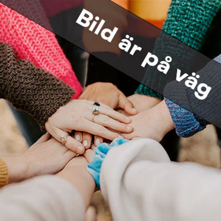 Sagotåg