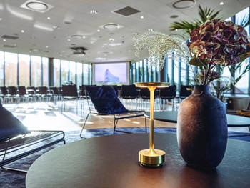 Netværkshuset Konference