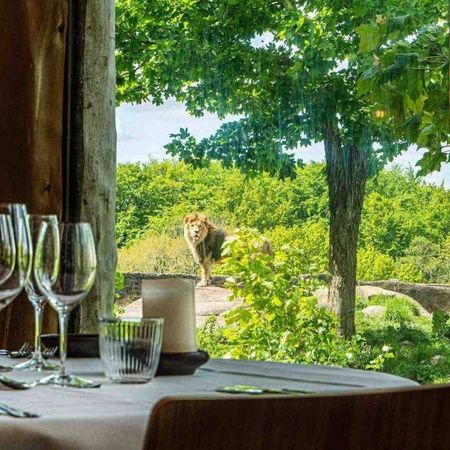 Ølsmagning - Danmarks vildeste!