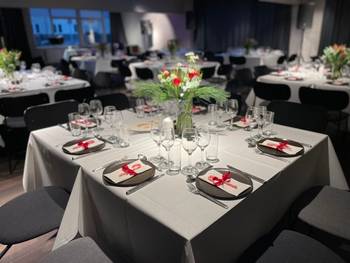 D15 Konference- og hybridmødecenter