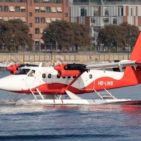 Flyvende ginsmagning