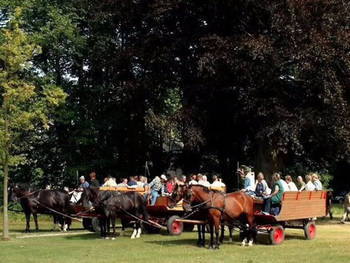 Guidet tur med naturvejleder