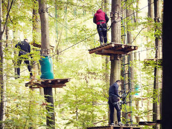 Gorilla Park Svendborg