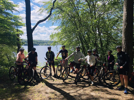 Mountainbike- og gårute i Rold Skov