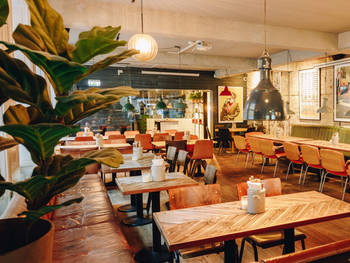 Cocks & Cows Gammel Strand