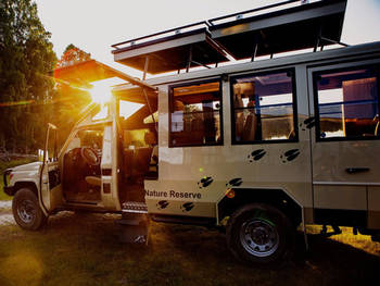 Guidad tur med safaribil