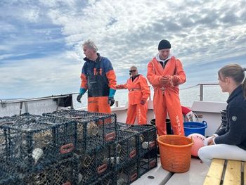 Hummersafari med logi och hummersupé