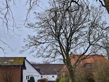 Møllegårdens Trætophytter og Kursuscenter