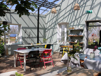 Wasabi Orangeri Café