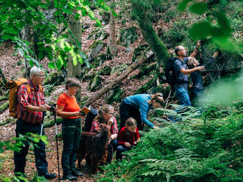 Vandring med certifierad guide