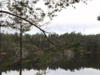 Kallbad och eld