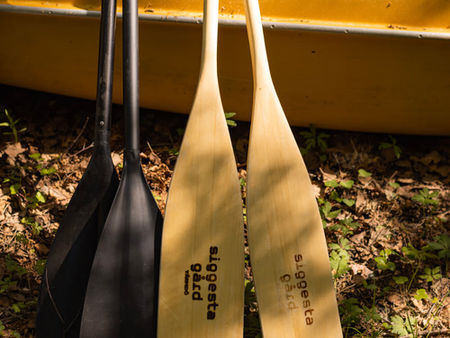 Kajak i Stockholms skärgård