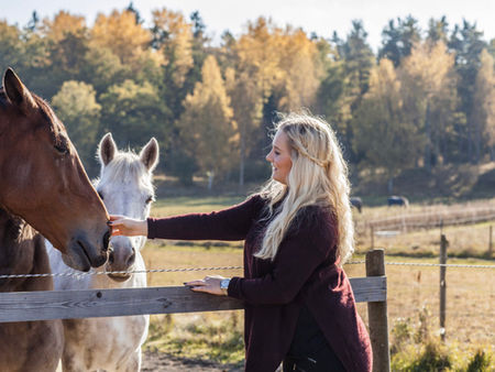 Tala med hästar