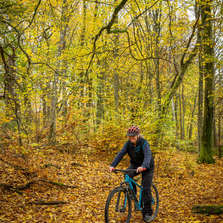 Cykla mountainbike