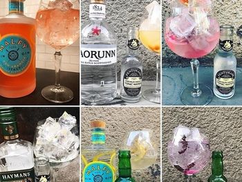 Gin & Tonic-provning