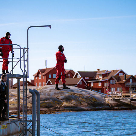 Överlevnad till Havs
