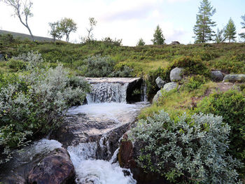 Vandring - In i vildmarken