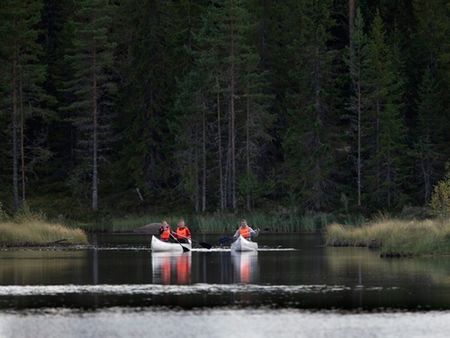 Kanotturer