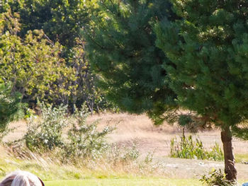 Himalayas Äventyrsgolf