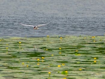 Kreativ workshop – skapa med naturen