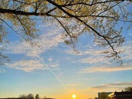 Walk & Talk Challenge