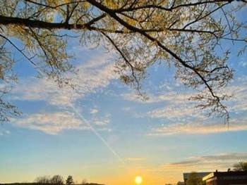 Walk & Talk Challenge