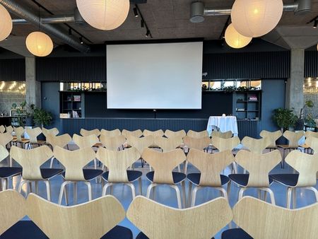 Hermans, Tivoli Friheden A/S