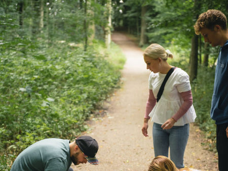 Mystery Tour - Det Hemmelige Broderskab
