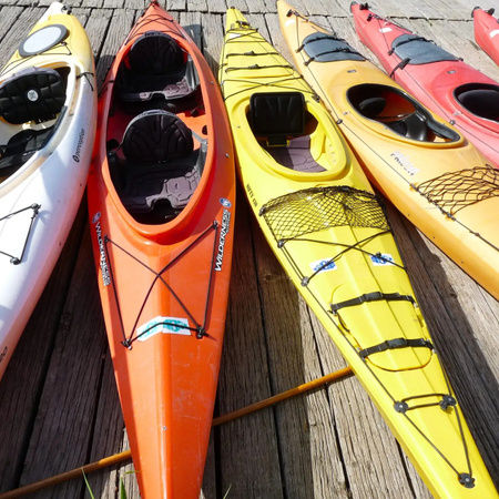 Kayak