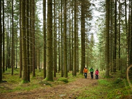 Walk and talk - Vandringskonferens