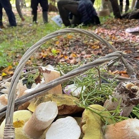 Guidet tur med naturvejleder