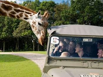 "Bag Kulissen - På arbejde med dyrene"