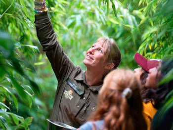 Safari Business Tour